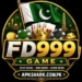 Official Image of FD999 Game
