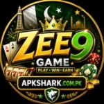 Official Image Of ZEE9 Game
