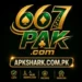 667PAK GAME