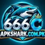 666C Game
