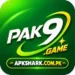 PAK9 Game