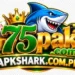 75PAK Game