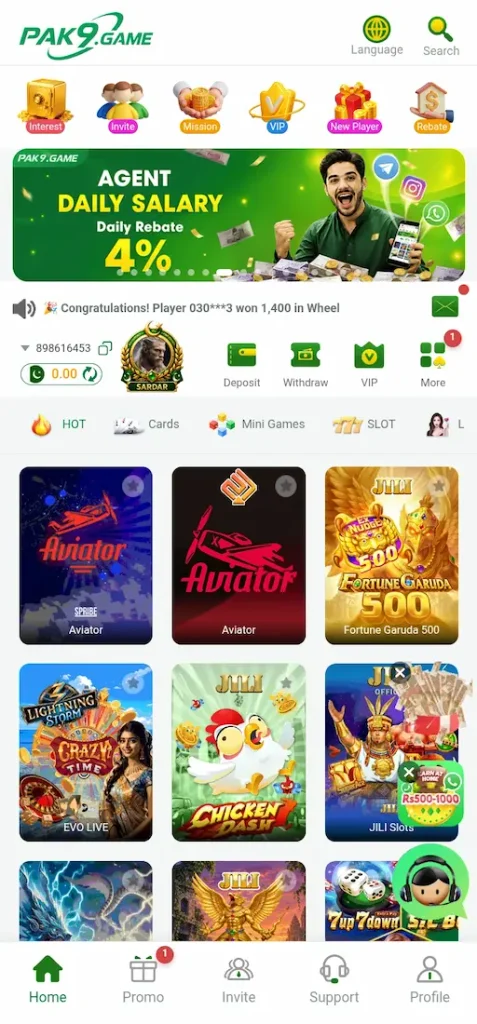 PAK9 Game