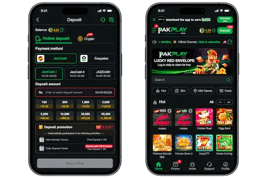 PAKPLAY GAME