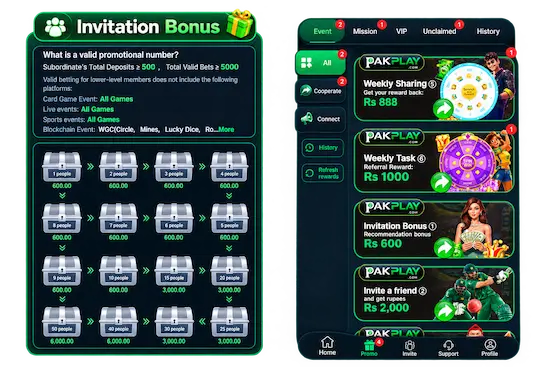 PAKPLAY GAME