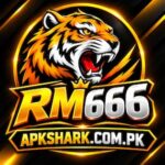 RM666 Game