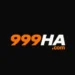 999HA Game