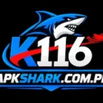 K116 Game